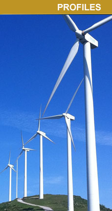 Fiberglass structural profiles - Fiber glass ladder